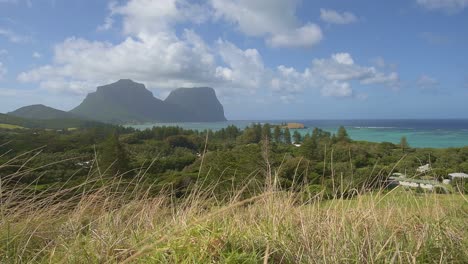Looking-out-over-Lord-Howe-Island-on-a-sunny-day-with-dry-grass-bending-in-the-wind-in-the-foreground-and-Mt-Gower-in-the-background
