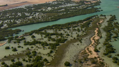 Pantanos-Y-Humedales-Que-Bordean-El-Mar-árabe-Cerca-De-Abu-Dhabi