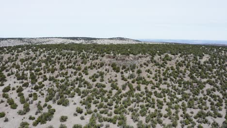 Flying-over-dunes-of-desert-covered-in-desert-plants