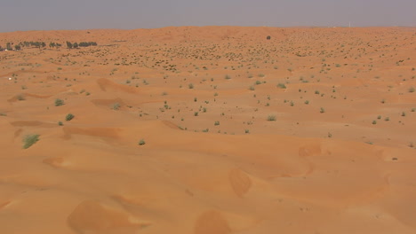 Tiefflug-über-Einer-Wüstenlandschaft-Mit-Vegetationspunkten