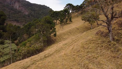 Eine-Kurvige-Straße,-Die-Einen-Bewaldeten-Hügel-In-Brasilien-Hinaufklettert