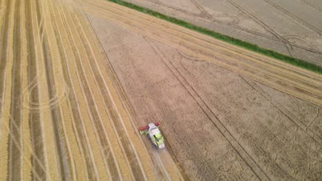 Combine-harvester-harvesting-wheat-field-4k-drone-video