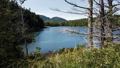 Wilderness-views-in-Acadia-National-Park,-Maine,-USA,-static-shot