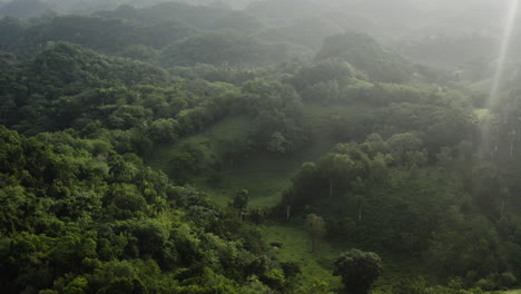 Drone-shot-over-lush-rainforest-landscape-with-rolling-hills-and-greenery-in-Los-Haitises,-Dominican-Republic