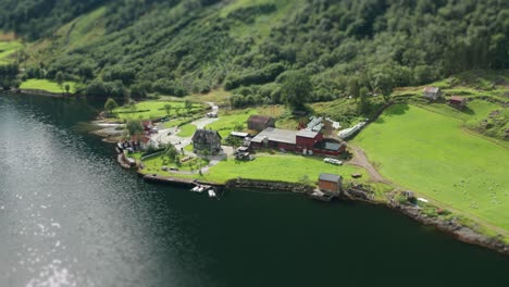 Farms-on-the-shore-of-the-Naeroyfjord