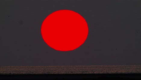 Long-telephoto-shot-of-red-giant-sun-setting-above-ocean-horizon-line-with-birds-silhouettes-passing-by,-static