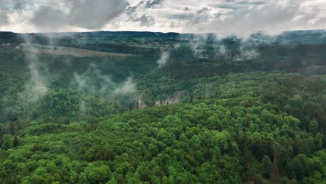 Luftaufnahme-Der-Ausgedehnten-Wälder-Des-Mährischen-Karstes