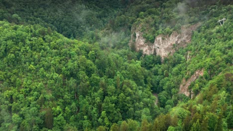 Luftaufnahme-Der-Ausgedehnten-Wälder-Des-Berühmten-Mährischen-Karstes