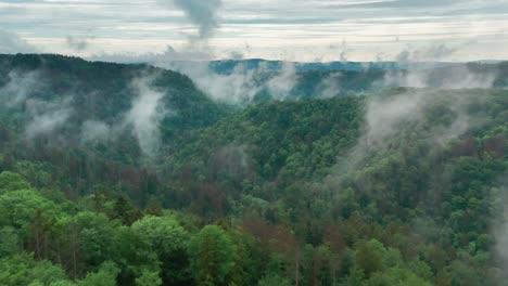 Aerial-view-of-the-vast-forests-of-the-famous-Moravian-Karst-region