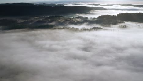 Aerial-view-on-the-majestic-morning-fog-rising-over-the-pine-forest
