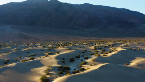 Backward-movement-shot-of-Mesquite-Sand-Dunes-covered-with-green-bushes-in-Death-valley,-California,USA-with-a-mountain-in-the-background-at-sunset