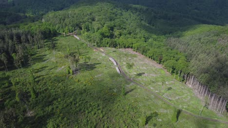 Aerial-view-of-lonely-path-in-forest-woodland-after-wood-clearing-in-nature