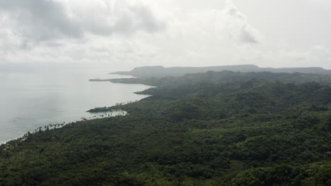 Antenne---Palmendschungel,-Playa-Rincon-Beach,-Dominikanische-Republik,-LKW-Links-Rückwärts
