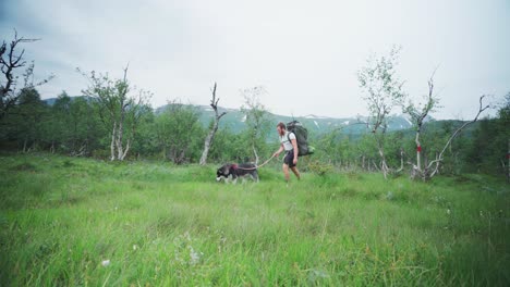 Backpacker-Trekking-On-Grassy-Mountain-With-His-Pet-Dog-On-Leash