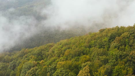 Epische-Luftdrohnenaufnahme,-Die-über-Farbenfrohen-Bergwald-Fliegt