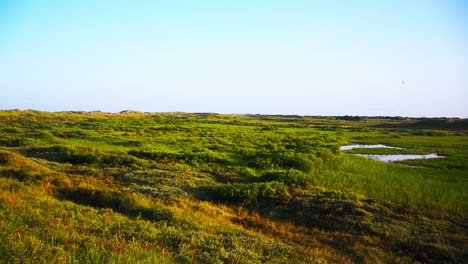 Panoramablick-Auf-Texel,-Eine-Der-Niederländischen-Watteninseln,-Vor-Der-Küste-Der-Niederlande