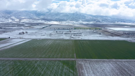 Flying-over-a-green,-snowy-field-in-the-vast-landscape-of-Tehachapi,-CA