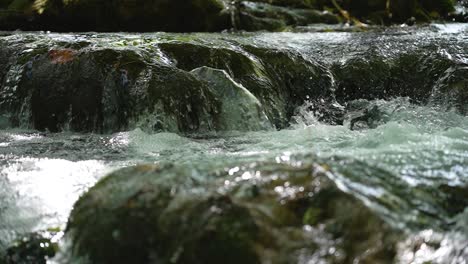 Close-up-view-of-a-forest-river-stream-cascading-over-rocks