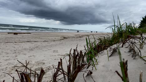 Beach-Grass-And-Woods-On-The-Sand-With-People-Walking-At-The-Beach-In-Background-On-A-Cloudy-Day