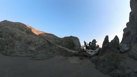 Large-driftwood-trunks-on-Bandon-Beach-between-boulders
