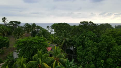 Luftbild,-Das-Sich-Vorwärts-Bewegt,-über-Den-Bäumen-Am-Bitcoin-Strand,-Der-Einen-Malerischen-Blick-Auf-Das-Meer-In-El-Salvador-Mexiko-Offenbart,-Strahlend-Blauer-Himmel-Im-Hintergrund