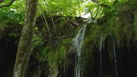 Schöne-Zeitlupenaufnahme-Eines-Kleinen-Gebirgswasserfalls,-Der-über-Eine-Mit-Moos-Und-Gras-Bedeckte-Felsenkaskade-Plätschert