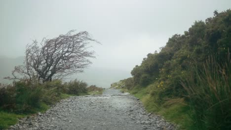 Strong-wind-and-rain-frantically-toss-the-country-landscape-of-Snowdonia,-Wales,-UK