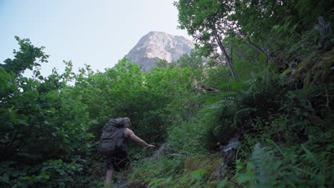 Kaukasischer-Rucksacktourist-Mit-Einem-Hund,-Der-Auf-Den-Waldbergen-Von-Katthammaren-In-Norwegen-Klettert
