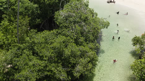 Antenne---Menschen-Im-Wasser-Und-Weißen-Sandstrand,-Playa-Rincon,-Dominikanische-Republik