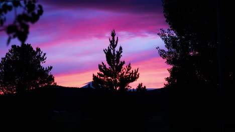 Beautiful-Pink-Sunset-Sky-With-Tree-Silhouettes-At-Sunriver-Resort-In-Central-Oregon,-USA