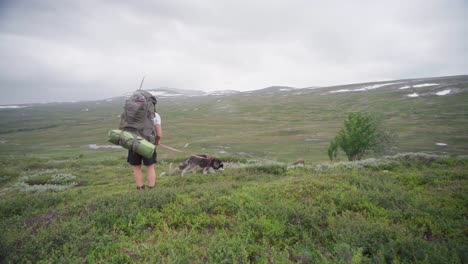 Hiker-With-Backpack-Stops-In-The-Grassy-Hill-Of-Mountain-To-Rest-With-His-Dog
