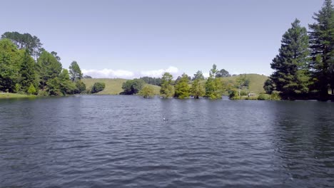 Vorbeiflug-An-Einem-Baum-über-Einem-Malerischen-See-Mit-Hügeln-In-Der-Ferne-In-Neuseeland