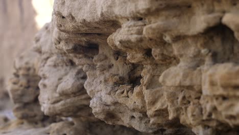 Rack-Focus-View-Along-Weathered-Eroded-Sandstone-Rock-Wall