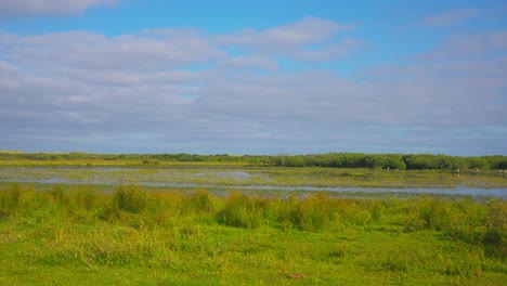 Marshlands-landscape-on-a-sunny-day,-pan-to-the-left