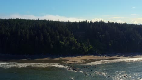 Stunning-trucking-right-aerial-drone-shot-of-the-gorgeous-Third-Beach-in-Forks,-Washington-with-a-forest-or-large-green-pine-trees,-cliffs,-small-waves-and-golden-foam-on-a-warm-sunny-summer-morning