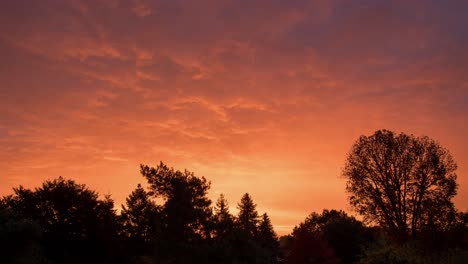 Beautiful-red-sky-beyond-the-trees-at-sunrise--Time-lapse