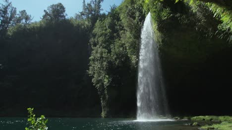 Powerful-stream-of-Omanawa-waterfall-in-breathtaking-hidden-canyon,-Natural-New-Zealand