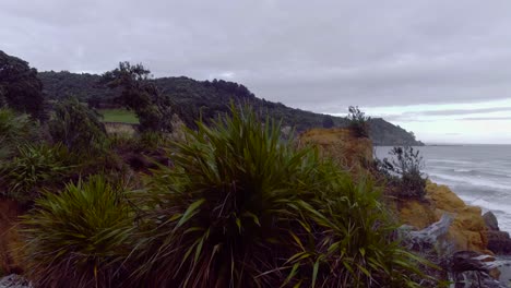 Erhebt-Sich-Von-Einer-Felsgruppe,-Um-Einen-Abgelegenen-Strand-An-Der-Wilden,-Zerklüfteten-Küste-Neuseelands-Zu-Enthüllen