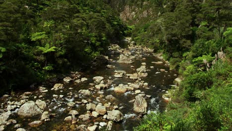 Natural-fresh-water-river-flowing-through-lush-green-canyon-in-New-Zealand,-tilt-down