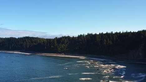 Stunning-dolly-in-aerial-drone-shot-of-the-gorgeous-Third-Beach-in-Forks,-Washington-with-a-forest-or-large-green-pine-trees,-cliffs,-small-waves-and-golden-foam-on-a-warm-sunny-summer-morning