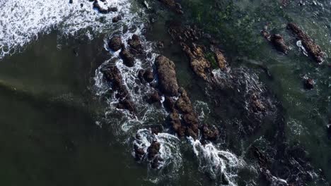 Stunning-aerial-top-bird's-eye-drone-shot-of-small-waves-hitting-rocks-at-the-coast-of-Third-Beach-in-Forks,-Washington-in-the-Pacific-Northwest-of-the-USA-on-a-sunny-summer-morning