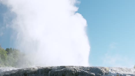 Geyser-shooting-boiling-hot-water-steam-meters-into-air,-Rotorua