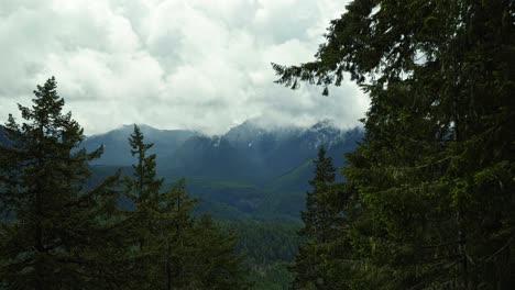 Schöne-Ruhige-Landschaft,-Die-An-Einem-Kalten-Sommertag-Einen-Großen-Kiefernwald-Und-Große-Schneebedeckte-Wolken-Im-Mt-Rainier-National-Forest-In-Washington,-Usa,-Hochkippt