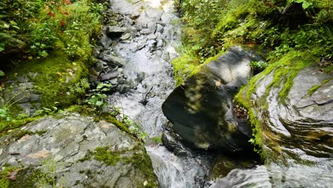 Neigungsaufnahme-Eines-Idyllischen-Wasserfalls,-Der-Bei-Sonnenlicht-Auf-Der-Rob-Roy-Track-In-Neuseeland-In-Einen-Felsigen-Und-Moosigen-Fluss-Fällt