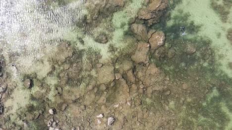 Top-down-aerial-drown-view-of-ocean-water-on-a-coastline-with-clear-water-and-rocks-in-water-along-the-beach