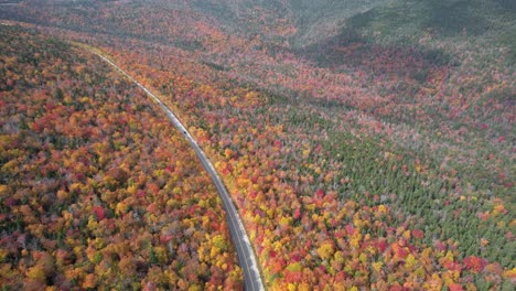 High-aerial-view-of-changing-leaves-and-scenic-highway-in-autumn