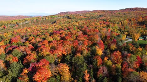 Aerial-view-descending-of-house-in-wooded-countryside-during-fall