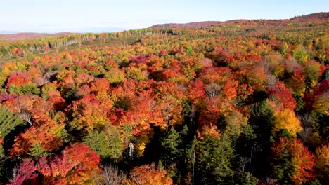 Aerial-View-of-Bright-Autumn-leaves-in-Vermont-forest-during-October