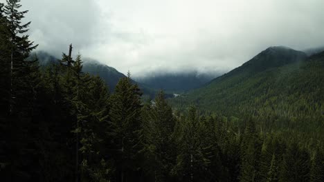 Schöne-Ruhige-Landschaftsansicht-Eines-Großen-Kiefernwaldes-Und-Großer-Schneebedeckter-Wolken-Im-Mt-Rainier-National-Forest-In-Washington,-Usa-Während-Eines-Kalten-Sommertages