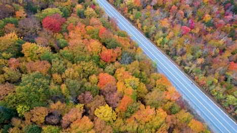 Luftbildautos,-Die-Straße-Im-Wald-Von-New-England-Mit-Herbstfarben-Fahren